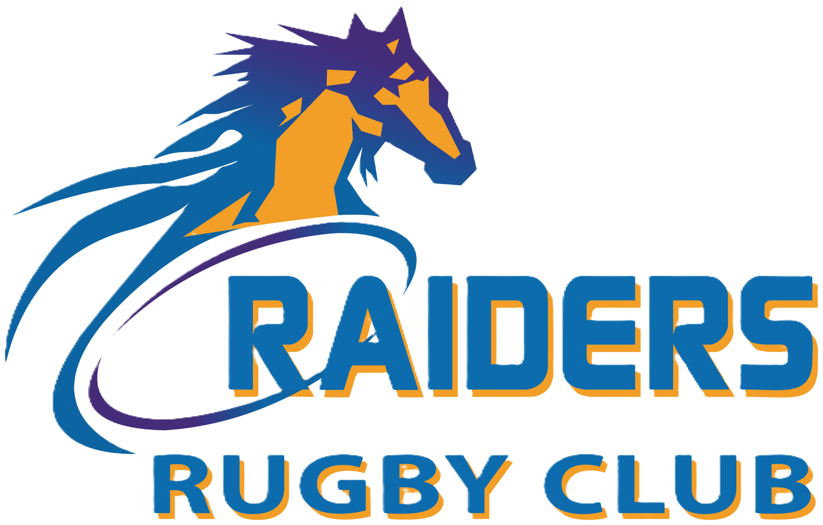 Raiders Logo